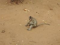 Роман Райский