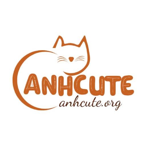 Ảnh Cute Dễ Thương