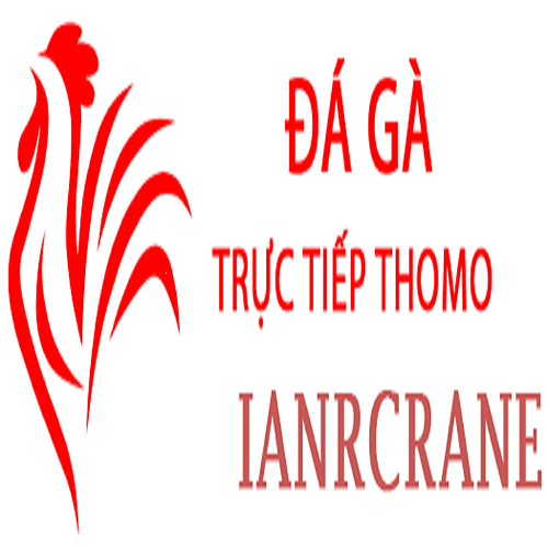 Đá Gà Trực Tiếp Thomo