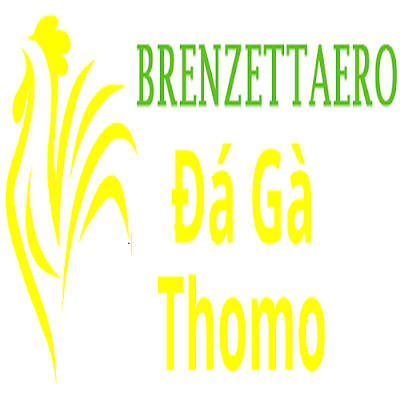 Đá Gà Trực Tiếp Thomo