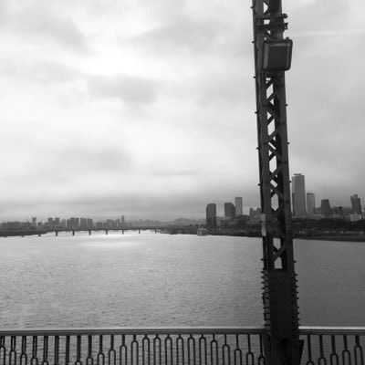 แมวบนลัง