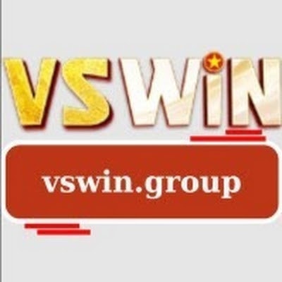 vswin group