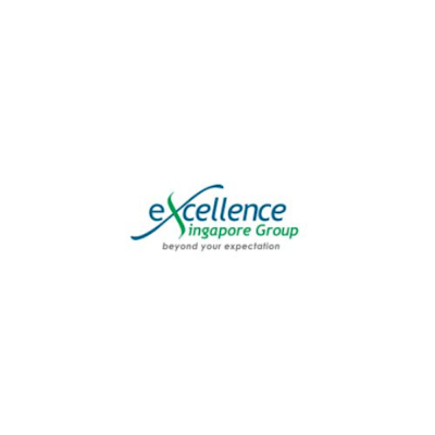Excellence Singapore Group