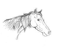 Анатолий Буравин