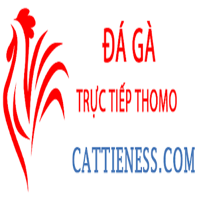 Đá Gà Trực Tiếp Thomo