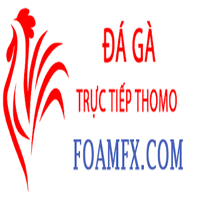 Đá Gà Trực Tiếp Thomo