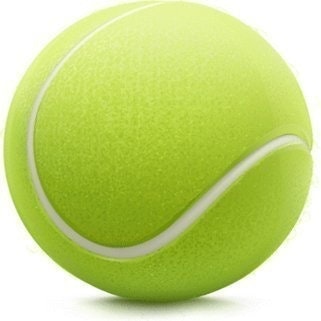 Ferrer Timotic Tennis Academy