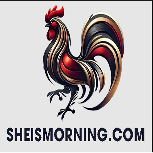 ĐÁ GÀ TRỰC TIẾP