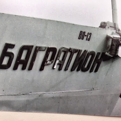 Andrei Tsaregorodtsev