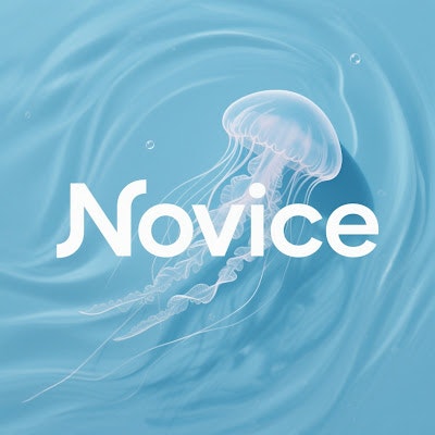 ProductHunt profile picture for @novice