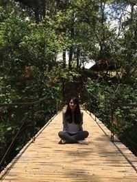 Trương Kim Phượng