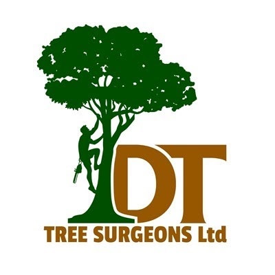 DT Tree Surgeons Ltd