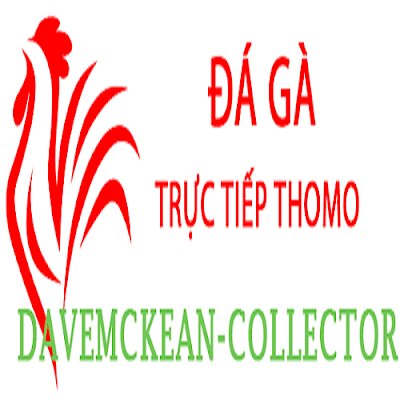 Đá Gà Trực Tiếp Thomo
