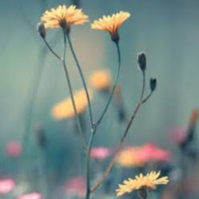 Саёра Алибекова