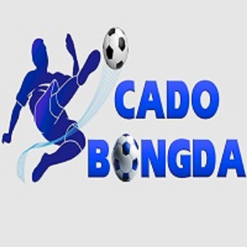 Cá Cược Bóng Đá