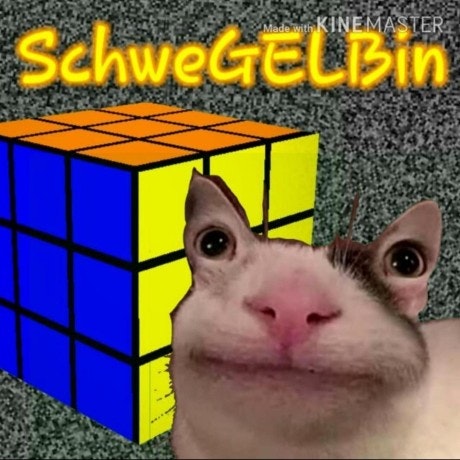 SchweGELBin