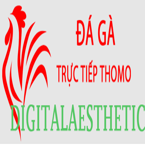 Đá Gà Trực Tiếp Thomo Nguyễn
