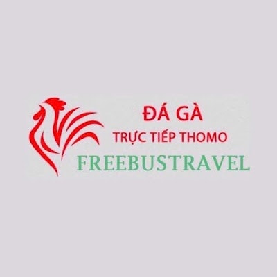 Đá Gà Trực Tiếp Thomo