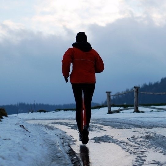 Margarita Esquivel V