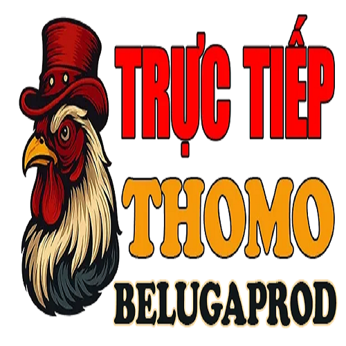 ĐÁ GÀ TRỰC TIẾP THOMO HÔM NAY