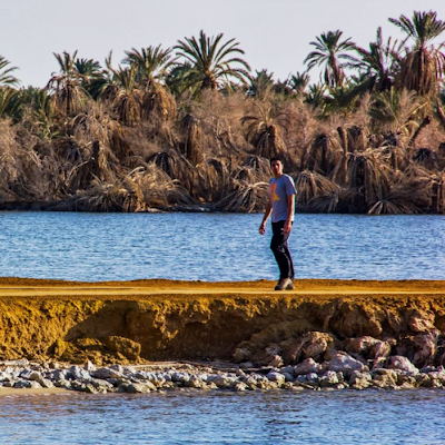 Walid Sultan