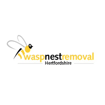 Wasp Nest Removal Hertfordshire