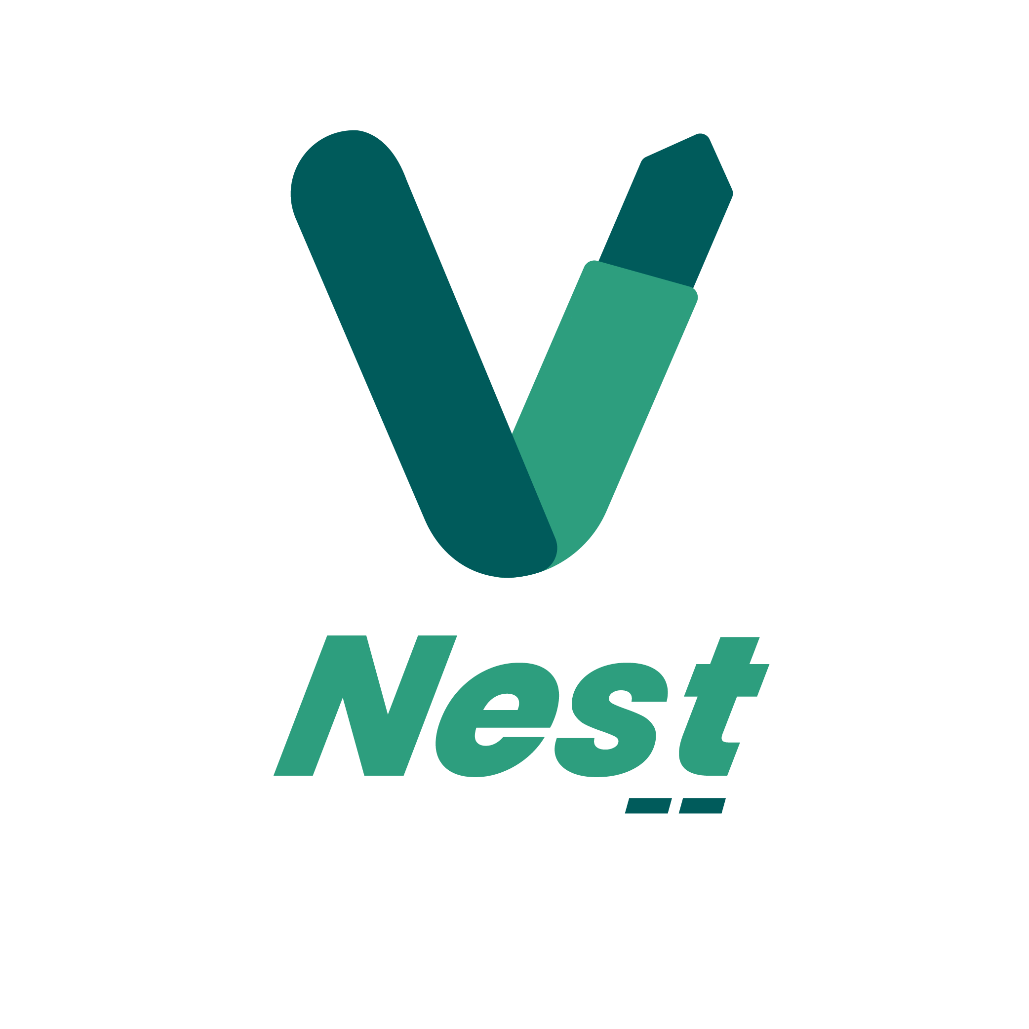 VNest Technologies And Platforms