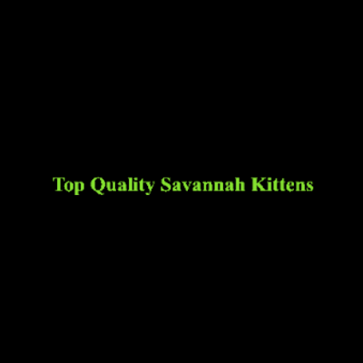 Savannah Kittens