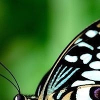 Игнатенко Татьяна