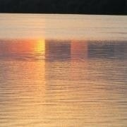 Дмитрий бороников