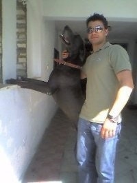 Antonis Sarigiannidis