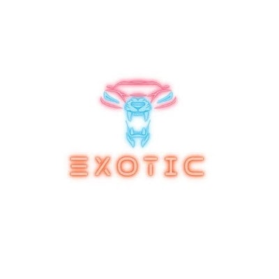 Exotic Super Car Rental