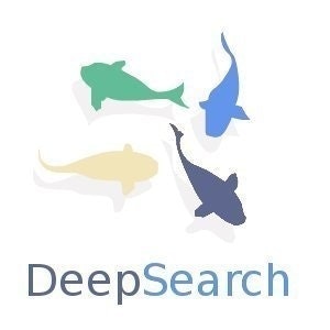 DeepSearch