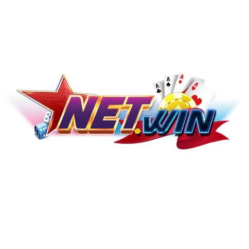 NETWINS VIN
