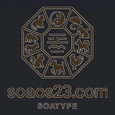Soatype