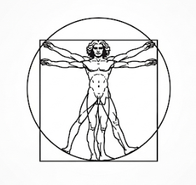 Studio Vitruvian