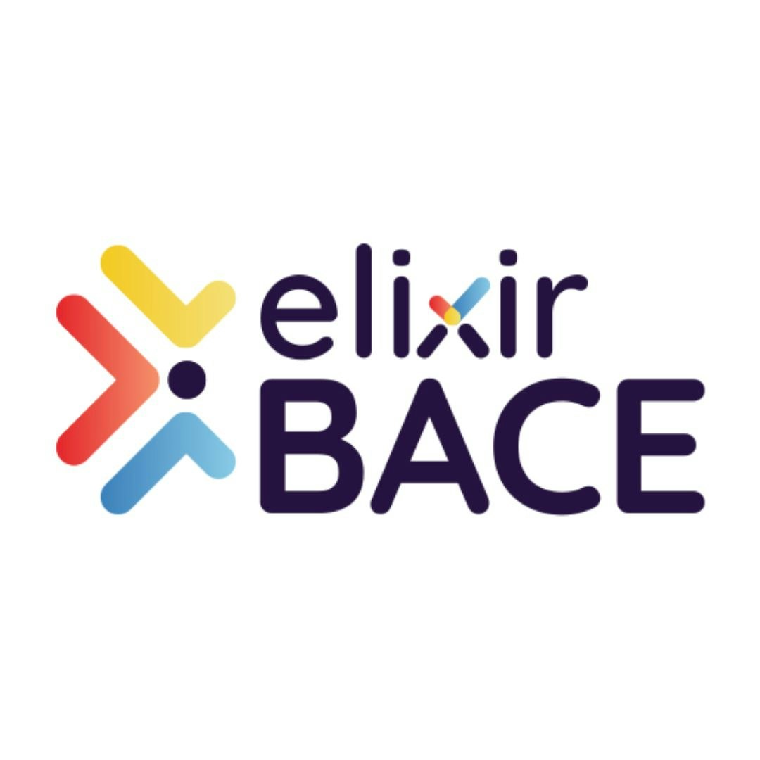 Elixir BACE
