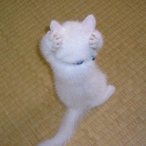 Валентина Рапота