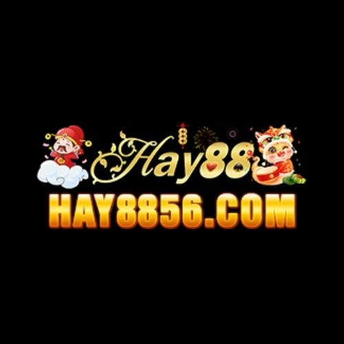Hay8856 Com