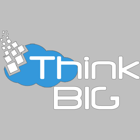 Think Big Software