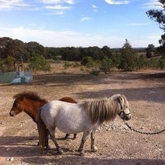 SynesthesiaDiscovery