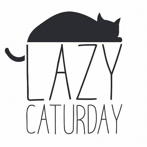 Lazy Caturday  😺