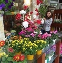 Nguyễn Thị Bích Việt