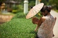 Marina  Zhemchuzhnikova