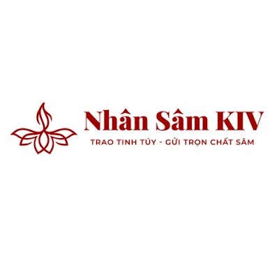 nhân sâm kivedu
