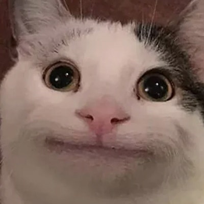 Nacho