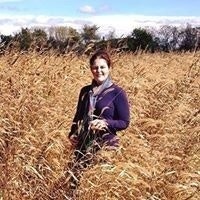 Kimberly Nicole Carroll Steward