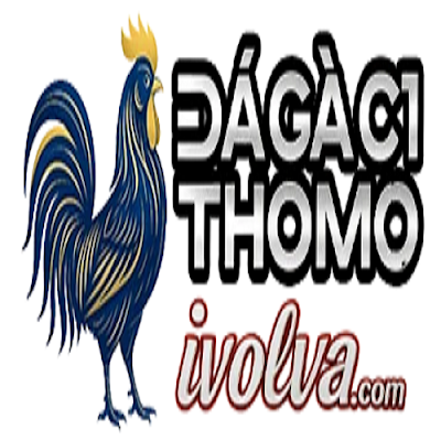 ĐÁ GÀ C1 | TRỰC TIẾP ĐÁ GÀ  THOMO