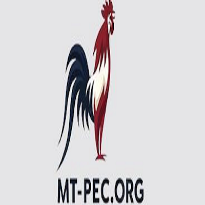 ĐÁ GÀ TRỰC TIẾP TRỰC TIẾP ĐÁ GÀ THOMO