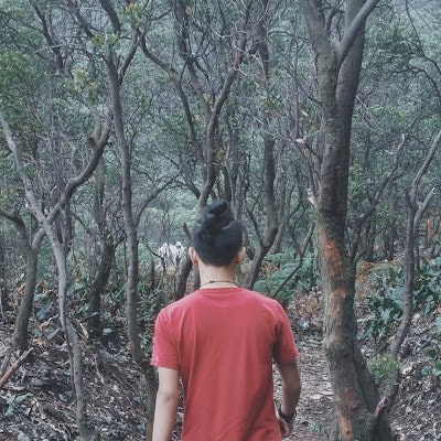 David Harly Rizky Prabudhi